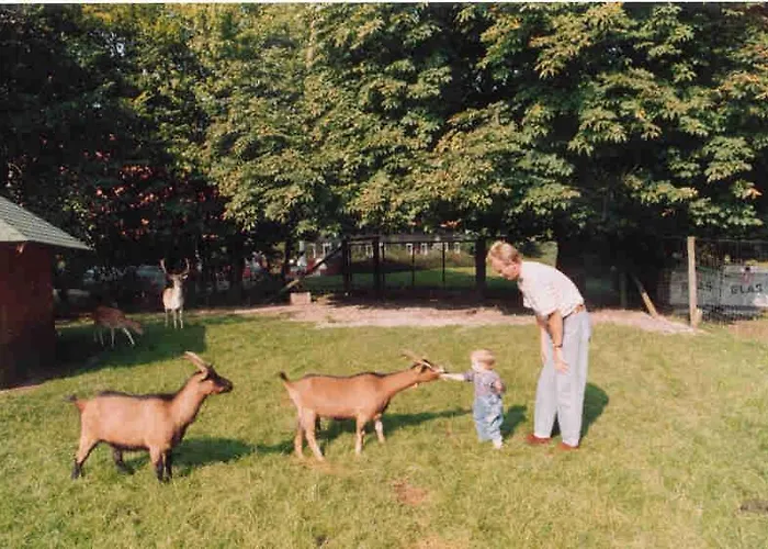 ランドホテル マイヤー グレスホフ 3*