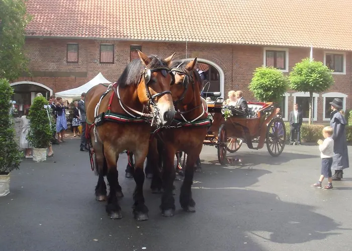 Meier Gresshoff 3* Oelde